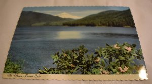 Mt Jefferson Detroit Lake Oregon Postcard Dexter Press Smith Western Inc.