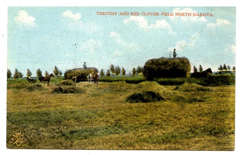 ND - Harvesting Timothy & Red Clover