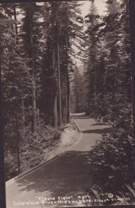 RPPC Oregon Postcard - Figure Eight - Columbia River Highway