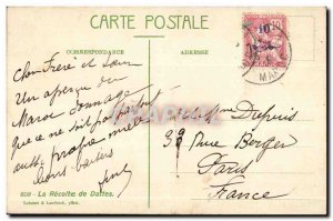 Morocco Old Postcard The Harvest of dates