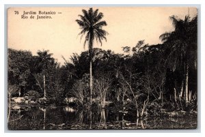 Jardin Botanico Gardens Rio De Janeiro Brazil UNP DB Postcard L17