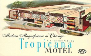 Postcard Illinois Chicago Tropicana Motel autos 1950s Occupation 23-625