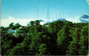 TV Towers Mt Wilson Hotel California CA Evergreens VTG Postcard UNP Unused 