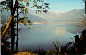 The Lions from Cleveland Dam Vancouver BC Mountain Postcard G7