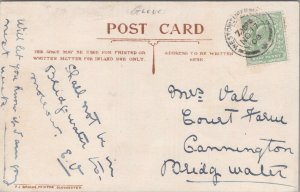 Genealogy Postcard - Vale - Court Farm, Cannington, Bridgwater, Somerset RF7120