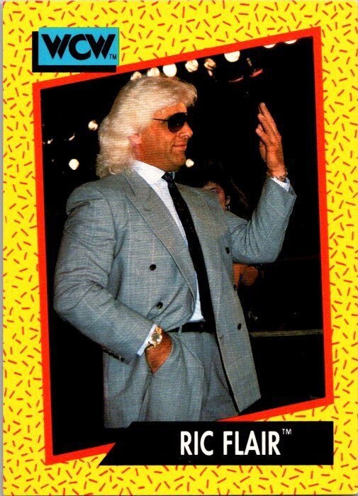 1991 WCW Wrestling Card Ric Flair sk21164