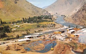 Riggins Idaho Lumber Mill Logging Vintage Postcard AA35468