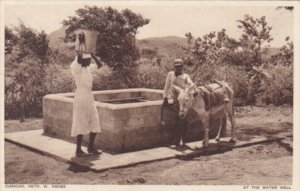 Curacao Willemstad Locals With Donkey At The Water Well Real Photo