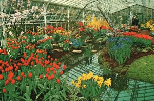 Postcard Lisse-Holland Keukenhof Botanical Garden Of Europe Lisse Netherlands