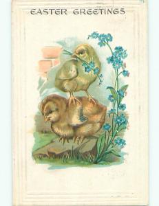 Pre-1907 easter CHICK STANDS ON BACK OF OTHER CHICK k1955