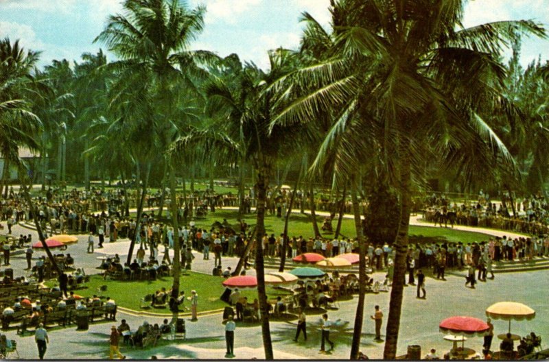 Florida Miami Hialeah Park The Paddock