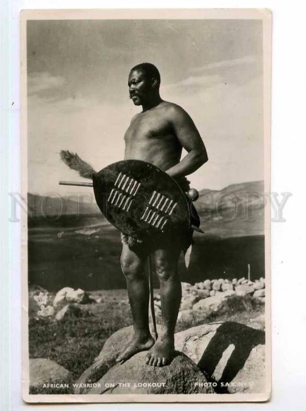 247948 SOUTH AFRICA warrior on lookout Vintage photo RPPC