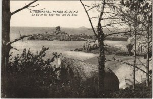 CPA TREGASTEL Plage - Le De et les Sept Iles Vus du Bois (1166110)