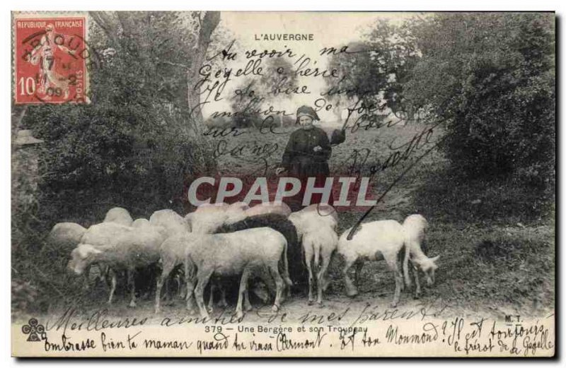 Old Postcard Folklore Auvergne A shepherdess and her sheep flock