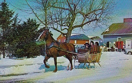 Pennsylvania Lancaster Greetings From Pennsylvania Dutch Country Amish