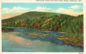 Vintage Postcard 1920's Mt. Logan From Scioto River Bridge Chilicothe Ohio OH