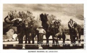 Elephant Training in St. Louis, Missouri