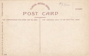 Horse and Buggy at St George Hotel - St Augustine FL, Florida - DB