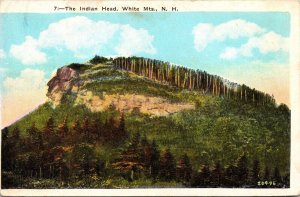 Indian Head Landmark White Mountains New Hampshire Scenic Landscape WB Postcard 