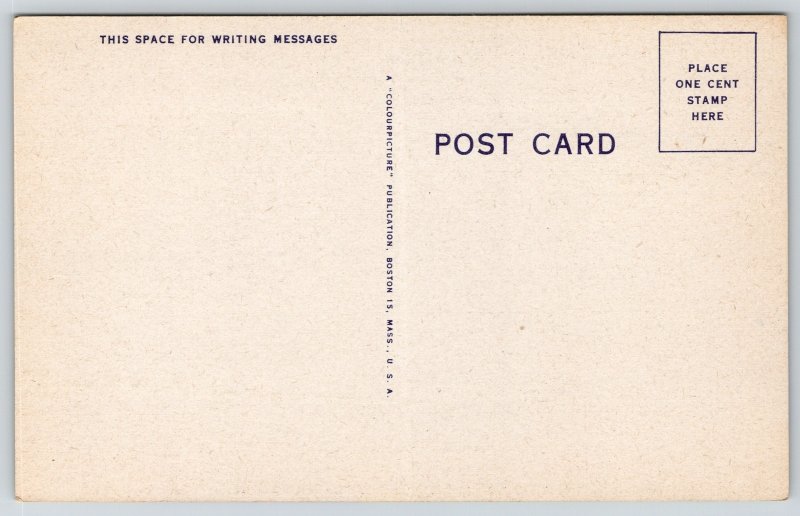 Comic~Monkey Hanging From Tree Just Hanging Around~Vintage Postcard