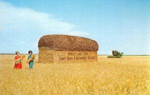 Fort Hays Experiment Station Kansas Wheat Giant Loaf of Bread Vintage Postcard