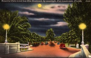Florida Fort Lauderdale Las Olas Boulevard By Moonlight