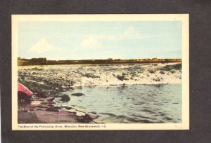 NB Petitcodiac River Moncton New Brunswick Canada Carte Postale Postcard