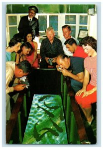 c1960s Cat Fish, Florida's Silver Springs, Home of Glass Bottom Boats Postcard