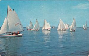 ST MICHAELS MARYLAND~GETTING READY FOR THE SAILBOAT RACES POSTCARD 1960s