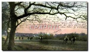 Old Postcard Newmarket Horses