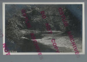 Mt. Hermon CALIFORNIA RPPC c1920s BEAR CREEK nr Felton Santa Cruz COOPER #6