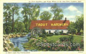 Trout Hatchery - Castalia, Ohio OH  