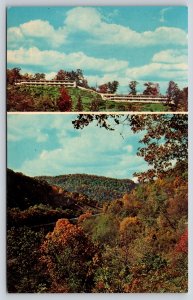 Roadside~Cumberland Gap Tennessee~Wilderness Road Motel~Vintage Postcard