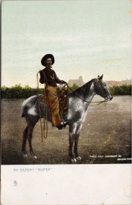 Expert Roper USA Cowboy Lasso Lariat Horse Ranching the West Tuck Postcard H50