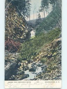 Pre-1907 RIVER SCENE Binghamton New York NY A1111