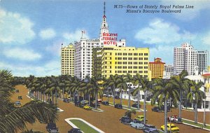 Rows of Stately Royal Palms Line Biscayne Boulevard - Miami, Florida FL  