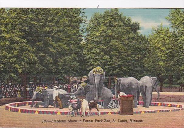 Missouri St Louis Elephant Show In Forest Park Curteich