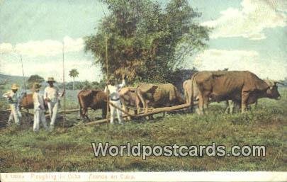 Ploughing in Cuba Republic of Cuba Unused 