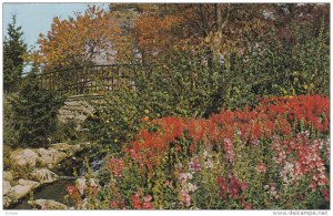 Lovely Flowers, Bridge, High Park, TORONRO, Ontario, Canada, 40-60s