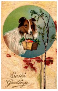 Dog , Collie Holding Easter Basket