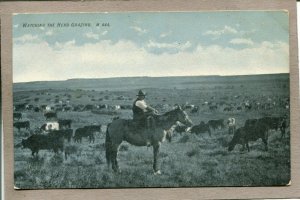  Postcard Cowboy Cattle Grazing Horse 2695N