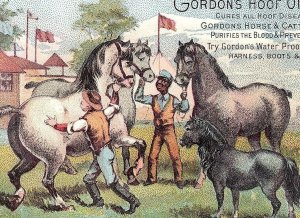 1880's Gordon's Hoof Ointment Horse Cattle Farm Victorian Trade Card P25