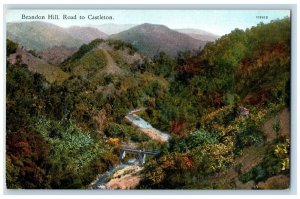 c1910 Brandon Hill Road to Castleton Jamaica Antique Unposted Postcard