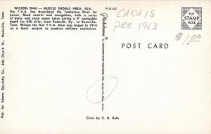 Muscle Shoals Alabama~Wilson Dam Panorama~Autumn Tree~1950s Postcard