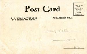 IL - Chicago. Lincoln Park, Strolling