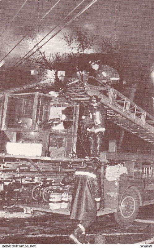 Fireman, PHILADELPHIA, Pennsylvania, 1969; Ladder 29