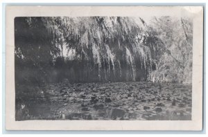 1909 View Of Pond Deming New Mexico NM RPPC Photo Posted Antique Postcard