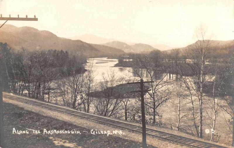 Gilead Maine Along the Androscoggin Real Photo Antique Postcard J73077