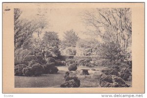 Boxwood Garden, BROOKGREEN GARDENS, South Carolina, PU-1940