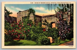 Vintage Florida Postcard - Ruins of Braden Castle   Bradenton
